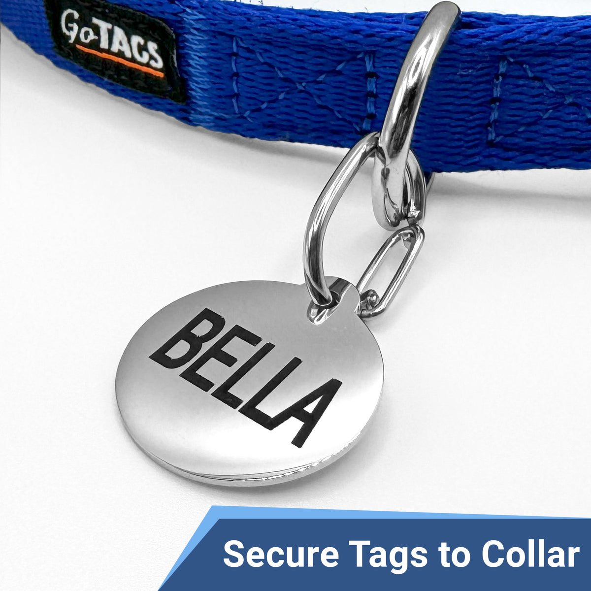 Close-up of stainless steel dog tag clip securing an engraved BELLA tag to a blue collar