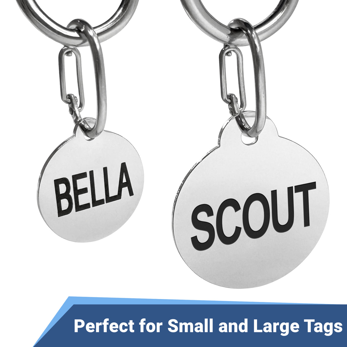 Front of dog tag clips on stainless steel tags labeled BELLA and SCOUT, showing spring-loaded snap and two sizes