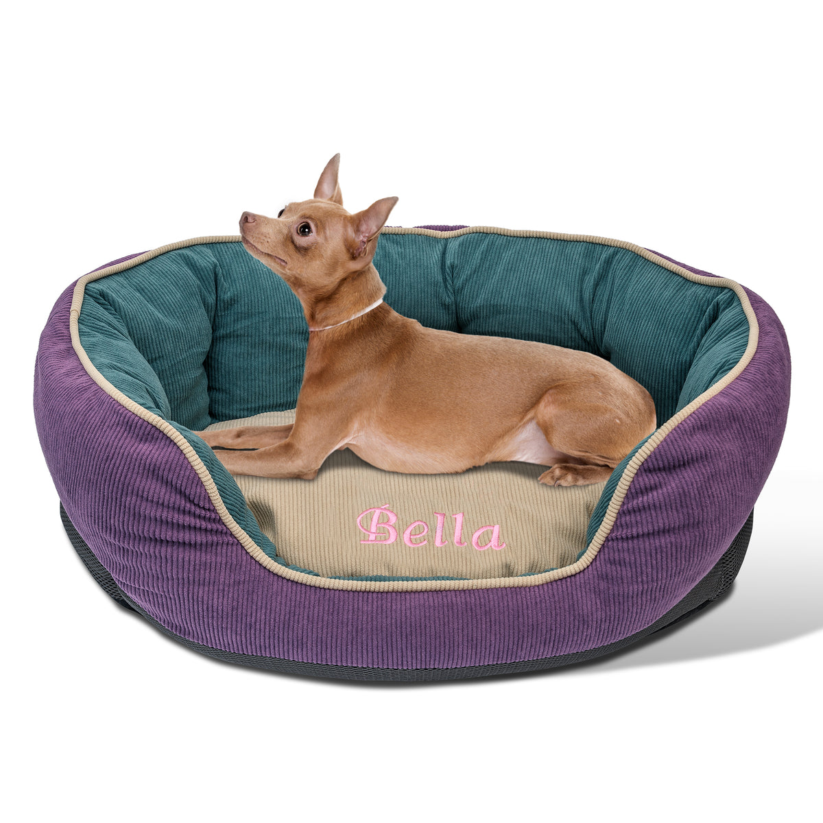 Angled front view of small purple round embroidered waterproof dog bed with removable center cushion and tan dog on white