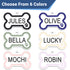Front view of bone-shaped stainless steel dog tag showing enamel paw and six color options with engraved names