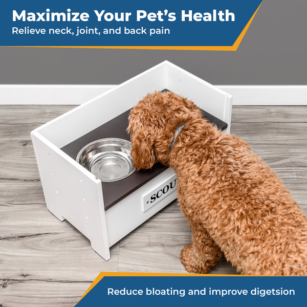 Personalized Adjustable Elevated Dog Bowl Feeder Stand