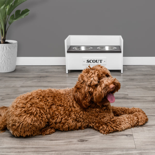 Personalized Adjustable Elevated Dog Bowl Feeder Stand