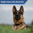 German shepherd wearing stainless steel pet ID tag with pink glitter paw print on a brown collar in grass, banner text Bright Colors that Stand Out