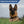 Load image into Gallery viewer, Glitter Paw Print Pet ID Tags in Stainless Steel
