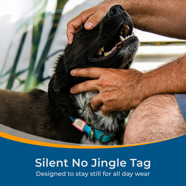 Silicone Slide-On Dog Tag Personalized Lifestyle Line