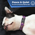 Sleeping black-and-white dog wearing purple collar and silent stainless-steel slide-on tag, banner text Peace and Quiet