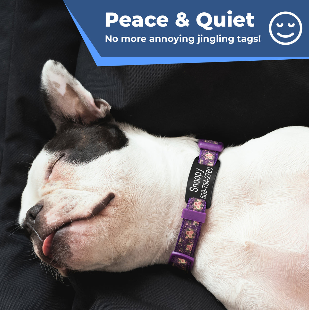 Sleeping black-and-white dog wearing purple collar and silent stainless-steel slide-on tag, banner text Peace and Quiet