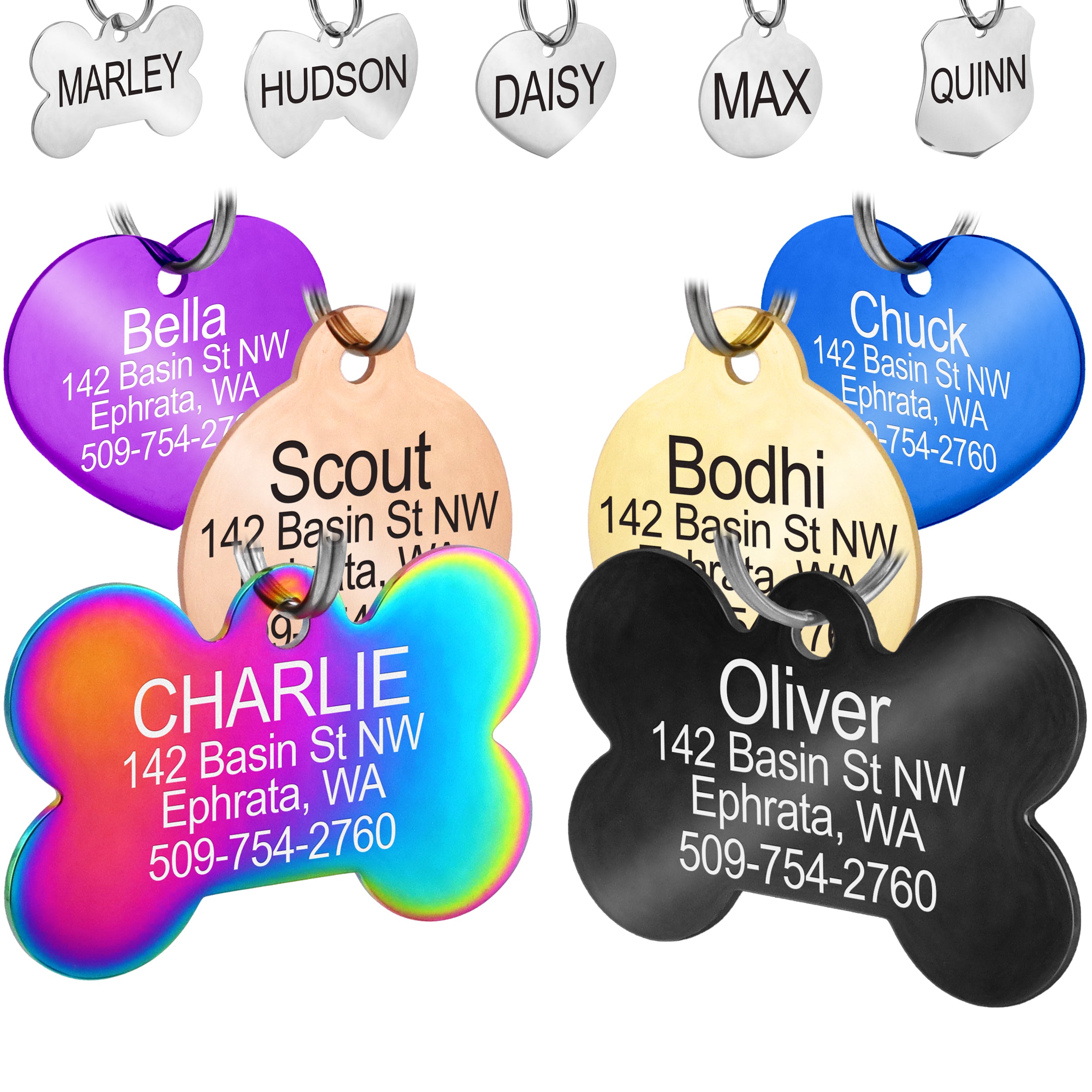 Angled view of bone-shaped stainless steel pet ID tag with rainbow plated finish and sample engraving on white background