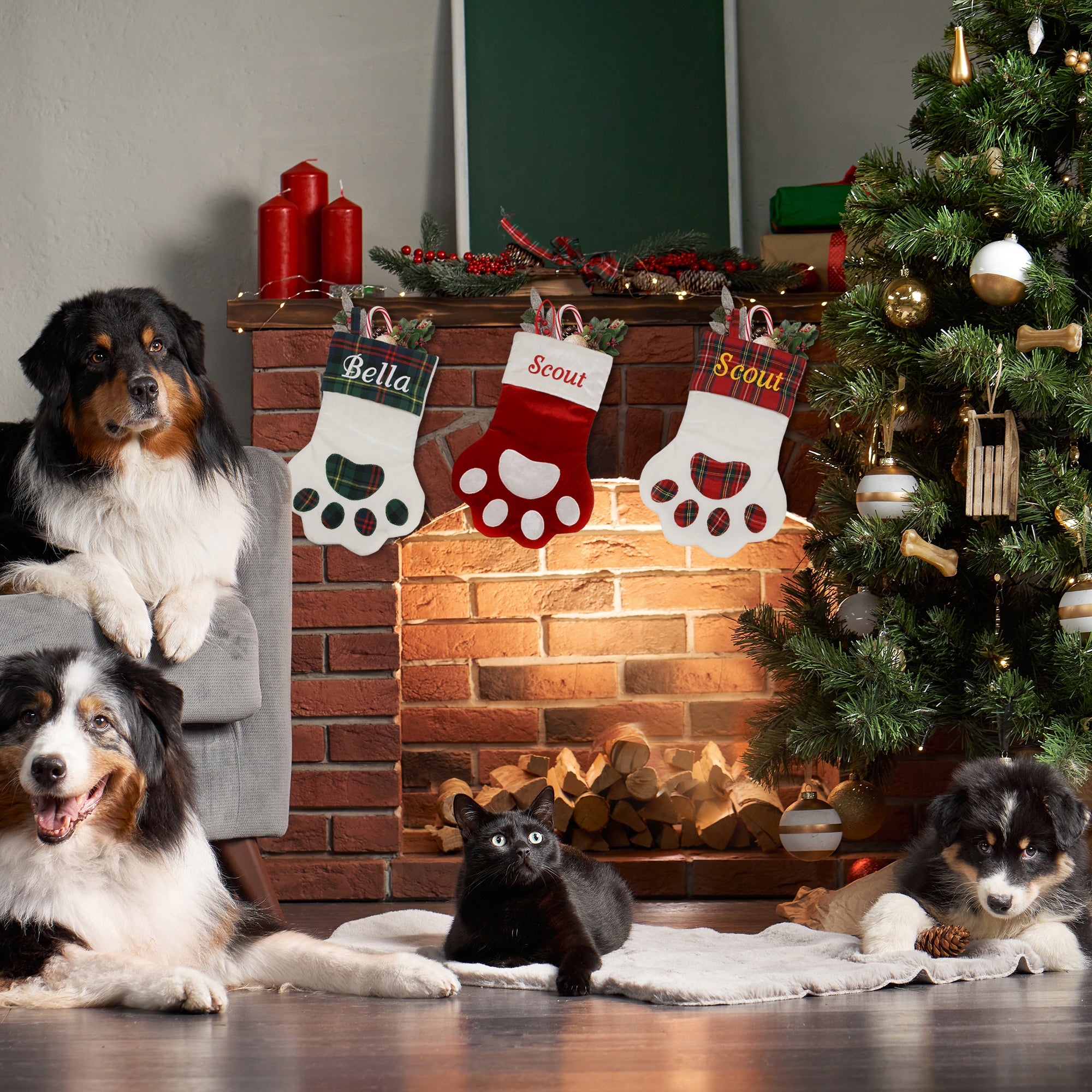 Three paw-shaped personalized pet stockings hanging on a fireplace mantel with a decorated Christmas tree and pets on the hearth