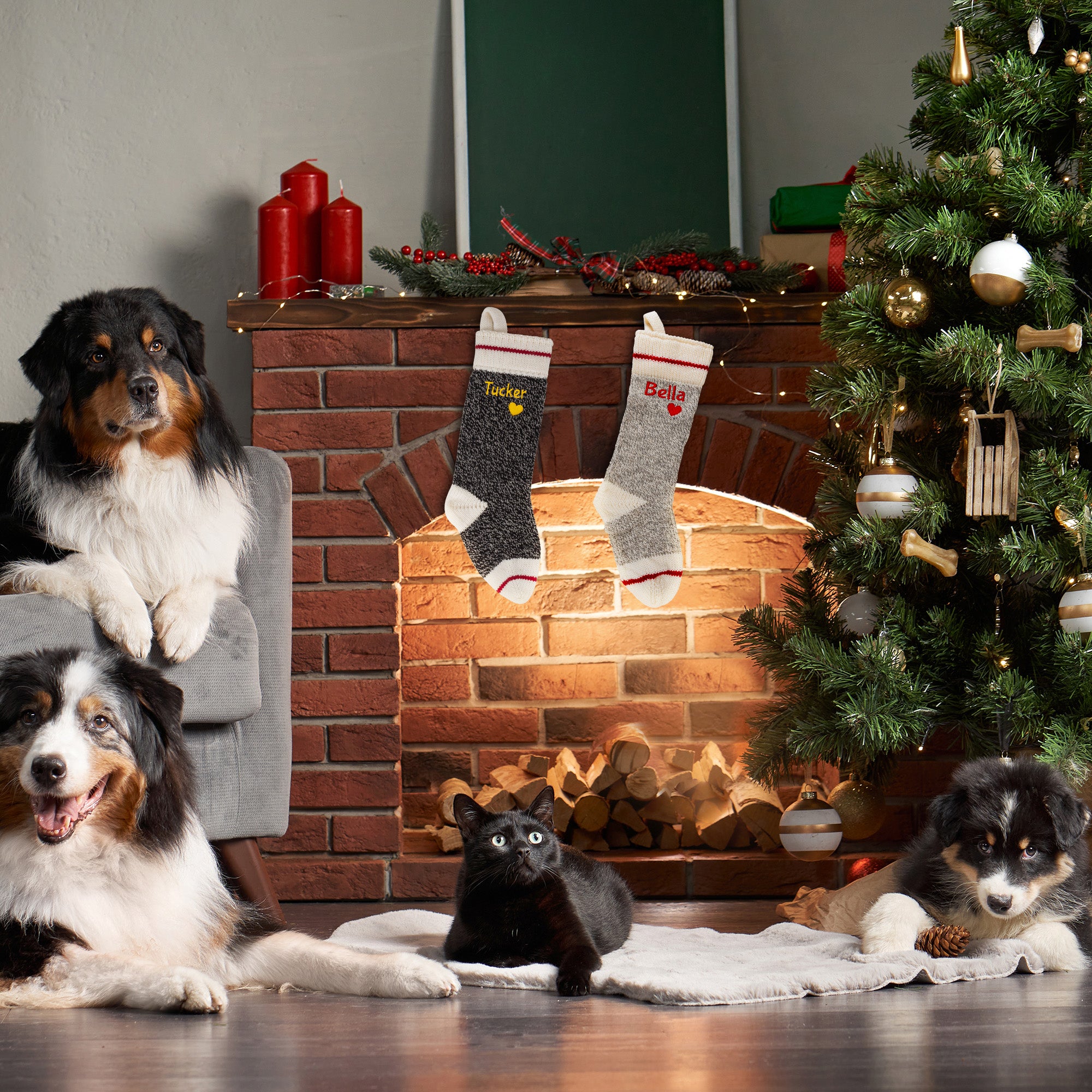 Knit personalized Christmas stockings hanging on a fireplace mantel with two dogs sitting nearby