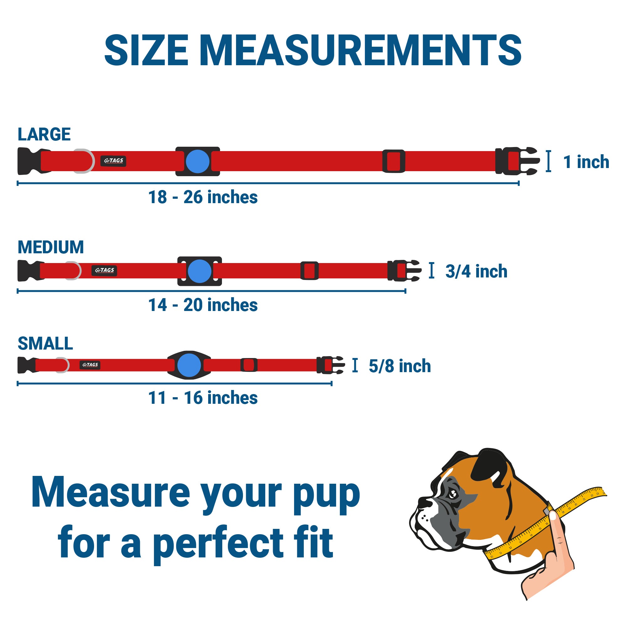 Infographic ‘Size Measurements’ showing GoTags collar sizes: Large 18-26 in (1 in), Medium 14-20 in (3/4 in), Small 11-16 in (5/8 in)