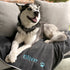 Three-quarter view of personalized gray fleece dog blanket showcasing embroidered name Oliver and paw prints with husky on couch