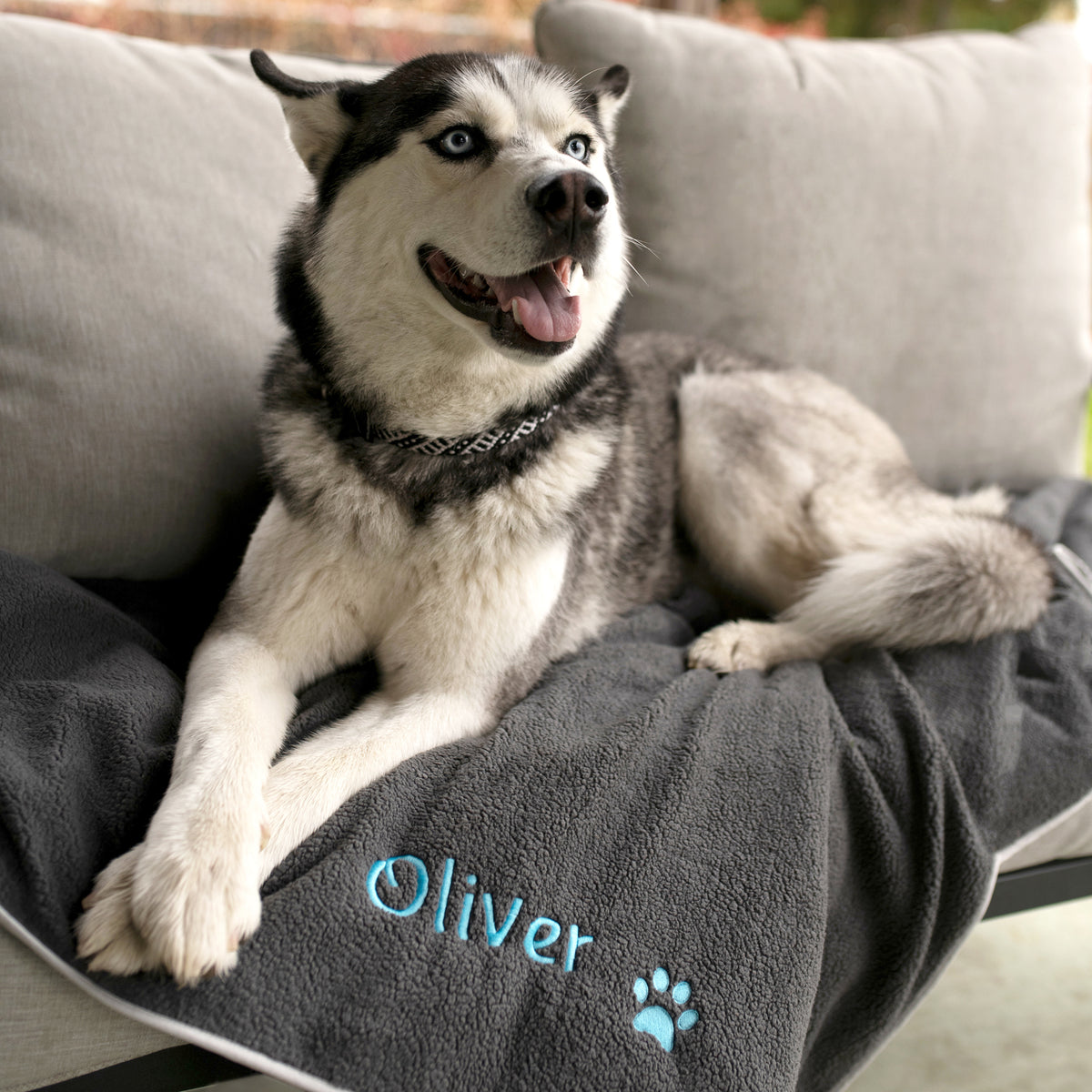 Three-quarter view of personalized gray fleece dog blanket showcasing embroidered name Oliver and paw prints with husky on couch