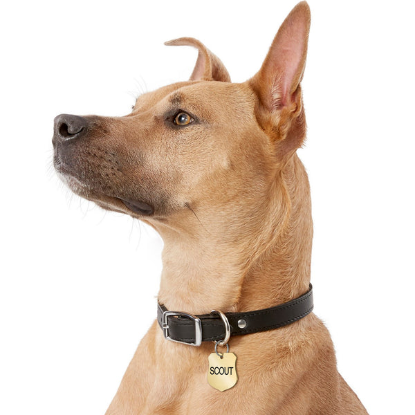 Ranger Badge Shape Brass Dog ID Tag