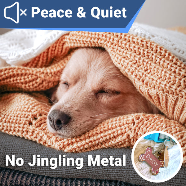 Silent Slide On Dog Tag Personalized