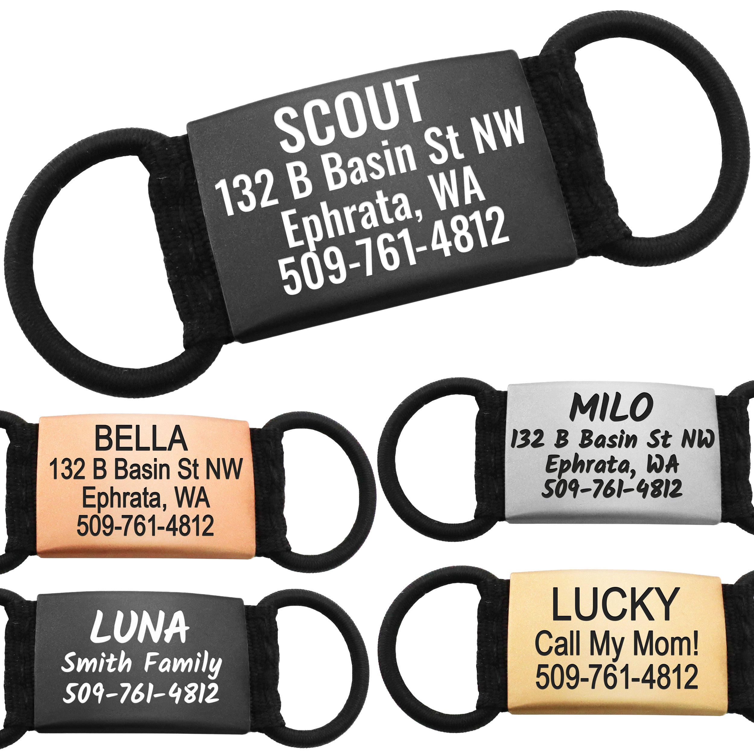 Top view of slide-on dog ID tags showing engraved names, address, and phone numbers on curved stainless-steel plates with black elastic loops on white background