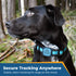 Side view of blue Tile Mate holder with engraved ID on a black dog collar; overlay text Secure Tracking Anywhere