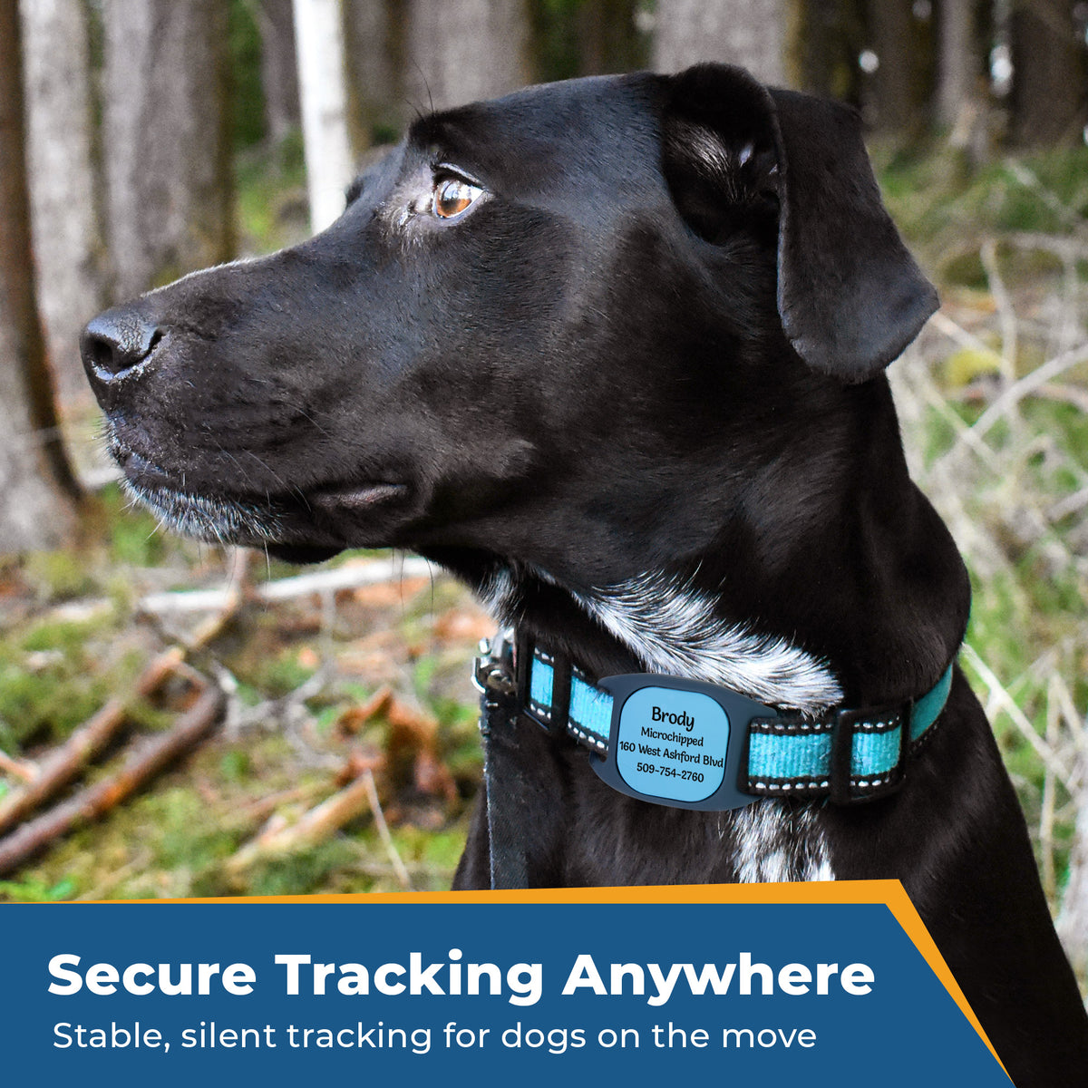 Side view of blue Tile Mate holder with engraved ID on a black dog collar; overlay text Secure Tracking Anywhere