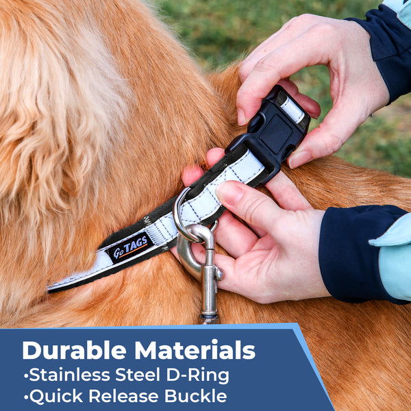Reflective Dog Collar with Personalized Slide-On Nameplate in Stainless Steel