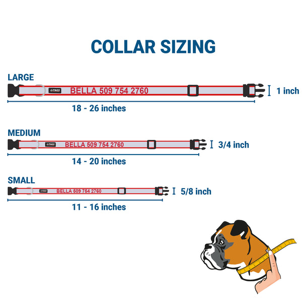Reflective Dog Collar with Personalized Slide-On Nameplate in Stainless Steel