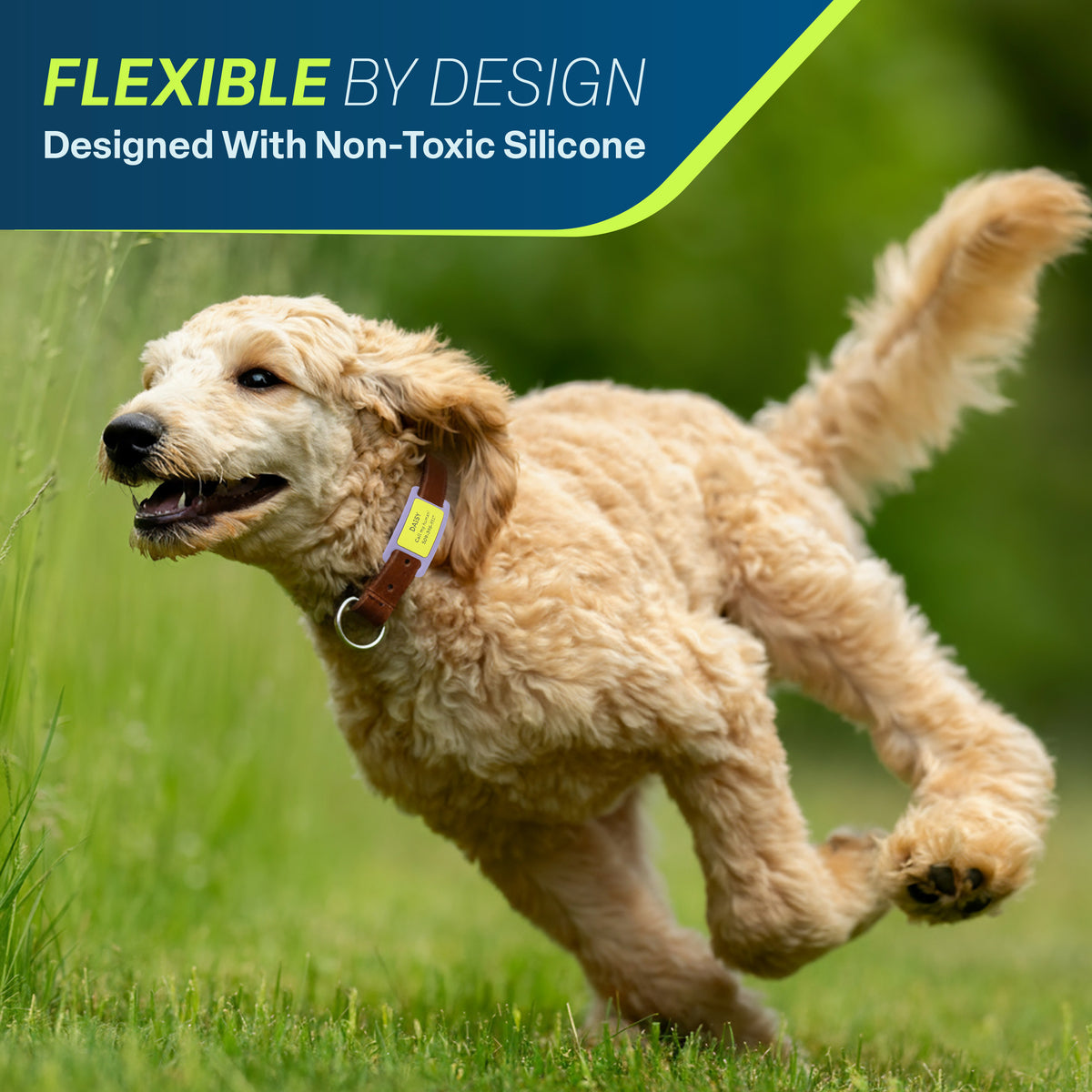 Golden retriever running through green grass wearing a brown collar with a yellow silicone slide-on personalized tag reading “DAISY”