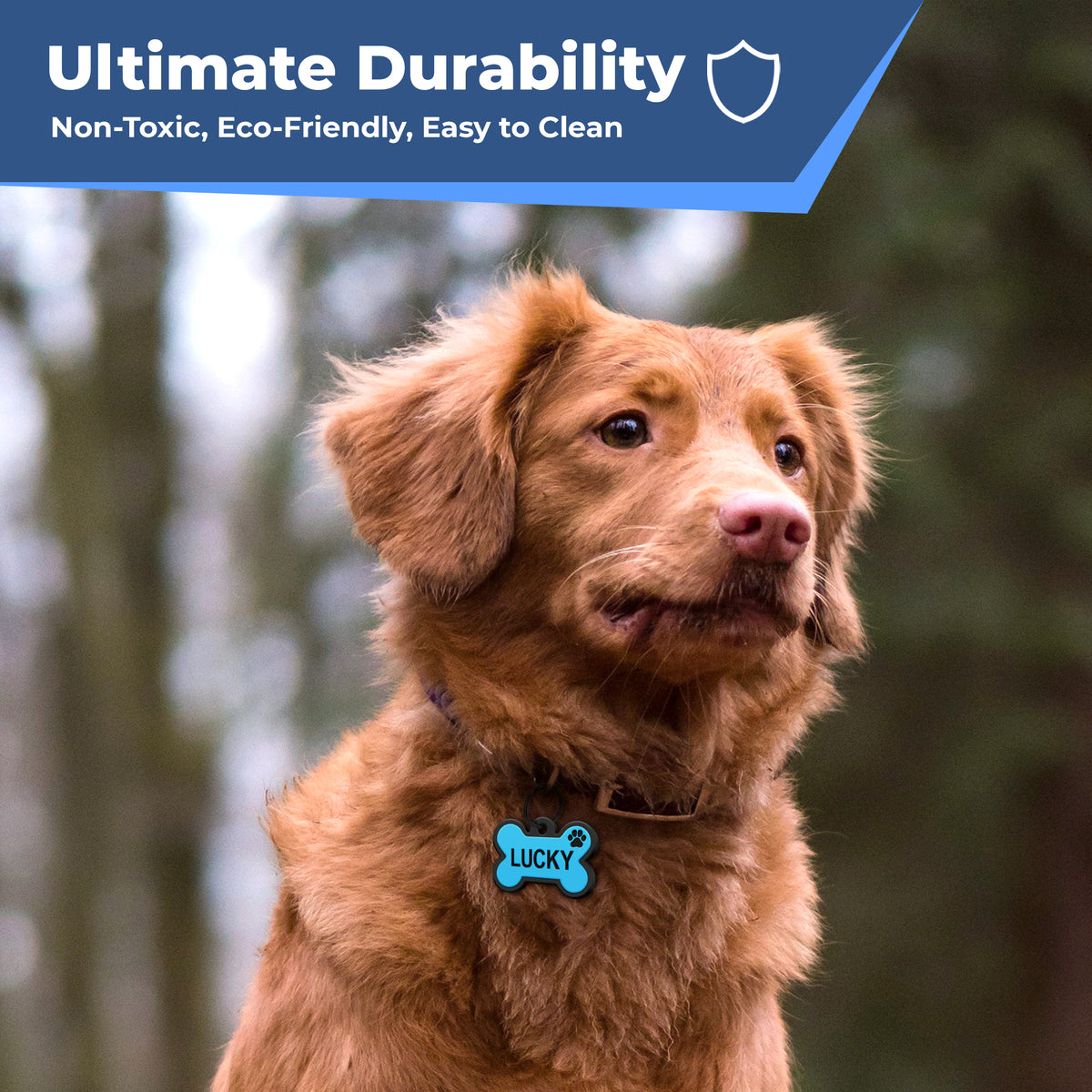 Brown dog wearing blue bone-shaped silicone dog tag showing silent double-sided engraving outdoors