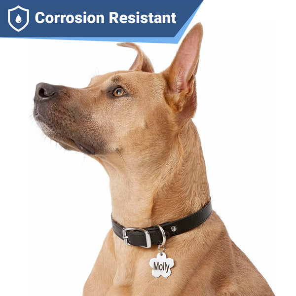 Flower Pet ID Tag in Stainless Steel