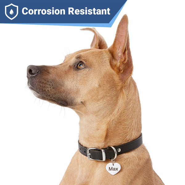 Heart Shape Pet ID Tag in Stainless Steel