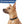 Load image into Gallery viewer, Star Pet ID Tag in Stainless Steel
