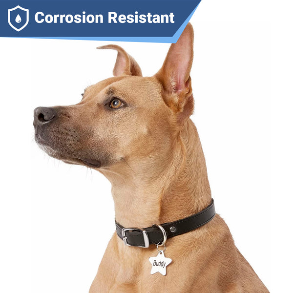Star Pet ID Tag in Stainless Steel