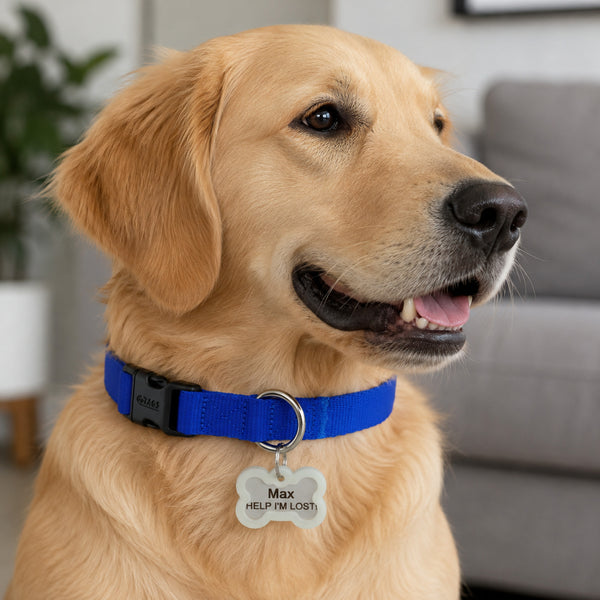 Bone Glow-in-the-Dark Pet Tag Silencer - fits Regular/Large Tag