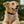 Load image into Gallery viewer, Heart Glow-in-the-Dark Pet Tag Silencer - fits Regular/Large Tag
