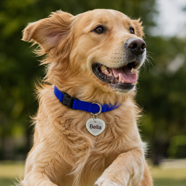 Heart Glow-in-the-Dark Pet Tag Silencer - fits Regular/Large Tag