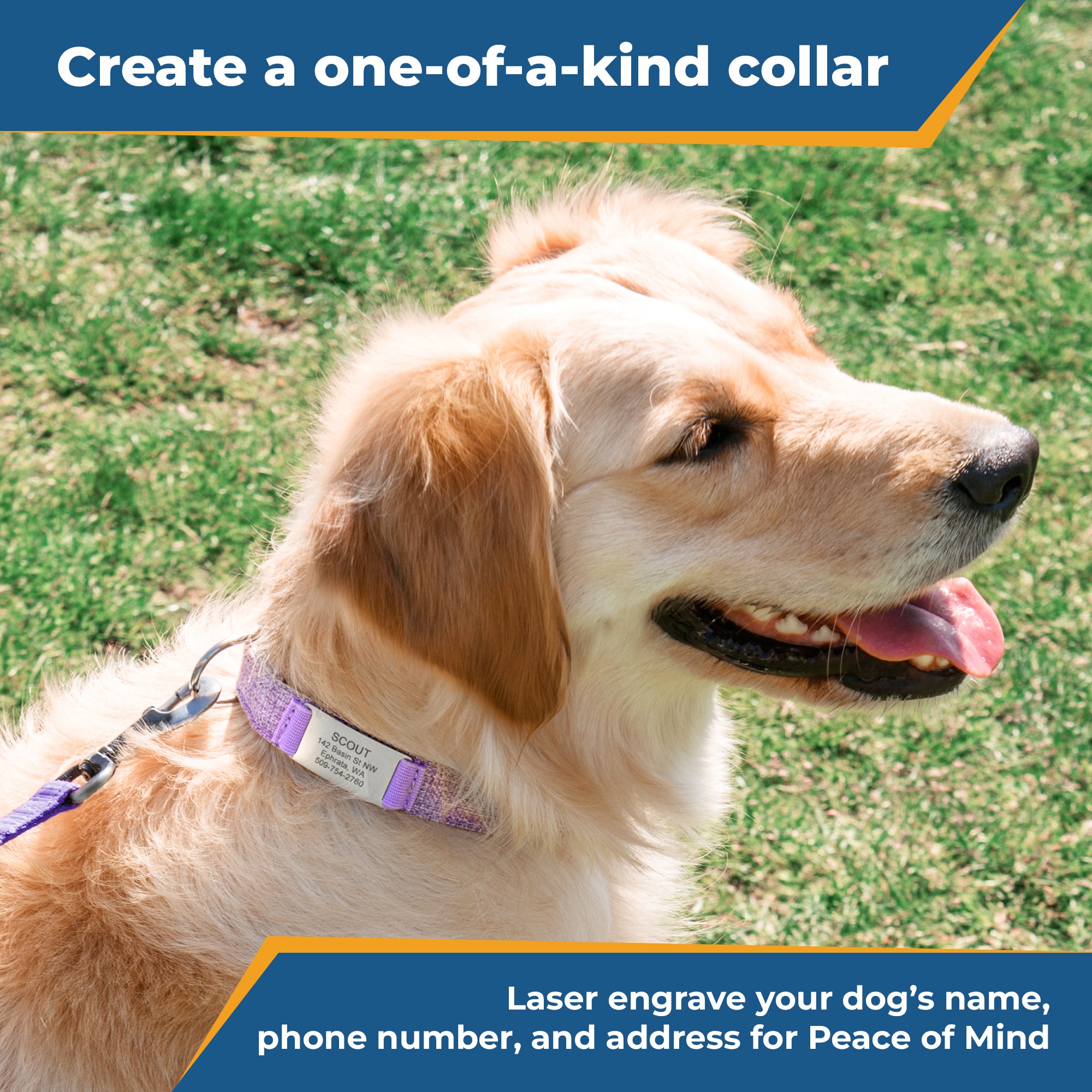 Dog wearing hemp-cotton adjustable collar with engraved slide-on nameplate; overlay text “Create a one-of-a-kind collar”