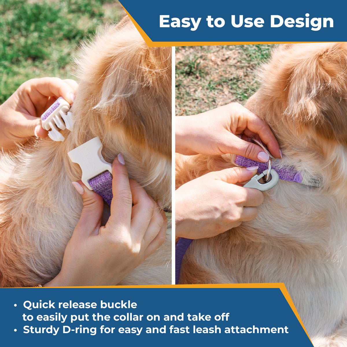 Easy to Use Design showing a quick-release buckle and sturdy D-ring for fast collar attachment