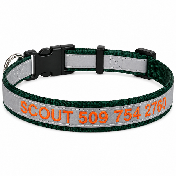 Personalized Reflective Dog Collar with Quick Release Buckle, Embroidered