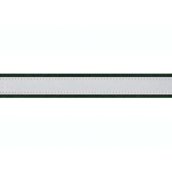 Personalized Reflective Dog Collar with Quick Release Buckle, Embroidered