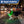 Load image into Gallery viewer, Dog wearing a green light-up LED collar outdoors at night
