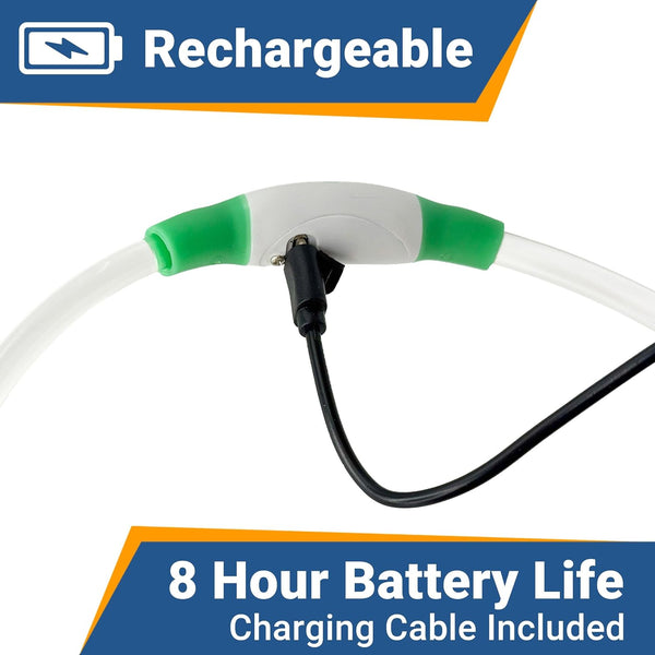 Light-up LED dog collar showcasing USB rechargeable design and pet safety features