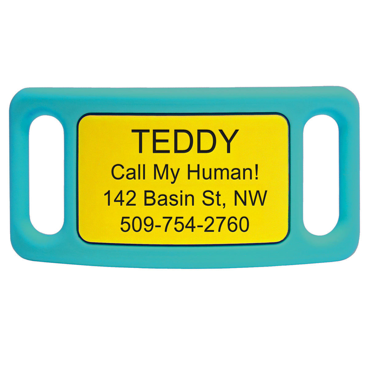 Silicone Silent Slide-On Pet ID Tag
