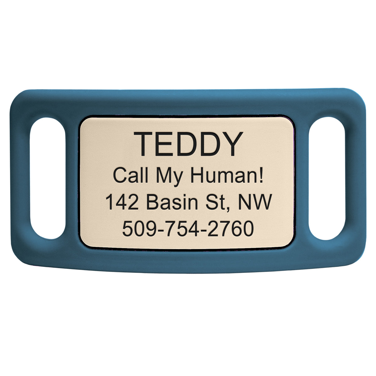 Silicone Silent Slide-On Pet ID Tag