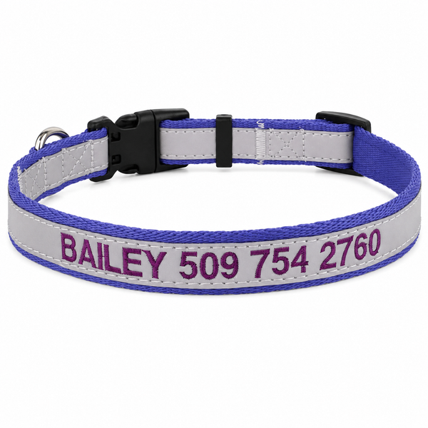 Personalized Reflective Dog Collar with Quick Release Buckle, Embroidered