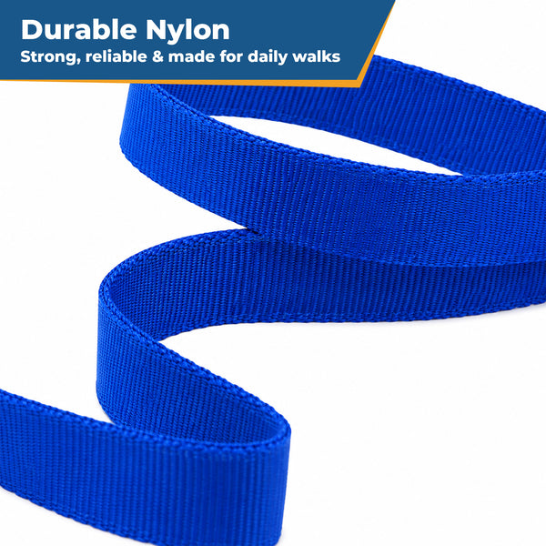 6 Foot Nylon Dog Leash