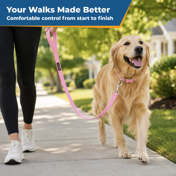 6 Foot Nylon Dog Leash