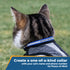 Rear view of cat wearing blue engraved reflective breakaway collar showing reflective stripe on nylon webbing