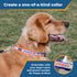 Dog wearing orange reflective embroidered collar showing name CHARLIE and phone, overlay ‘Create a one-of-a-kind collar’