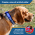 Side view of blue embroidered personalized dog collar showing white name stitching and quick-release buckle on a tan dog