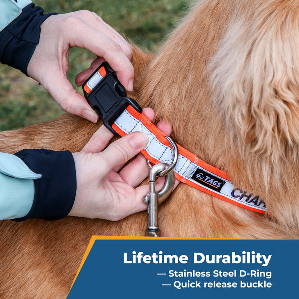 Personalized Reflective Dog Collar with Quick Release Buckle, Embroidered