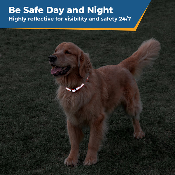 Personalized Reflective Dog Collar with Quick Release Buckle, Embroidered