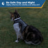 Rear view of reflective cat collar showcasing its reflective band and engraving; blue banner reads Be Safe Day and Night